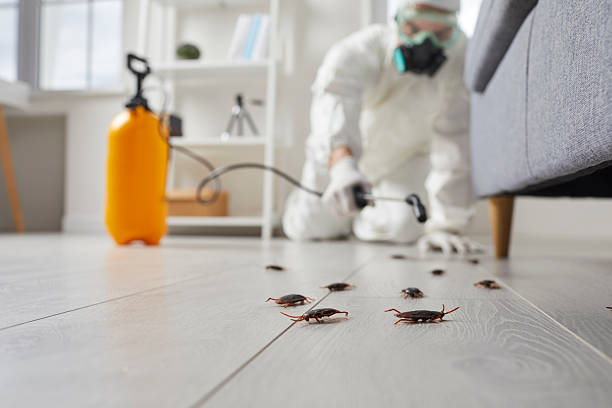 Trusted Fumigation Services service in Chelan, WA - Nex Pest Control
